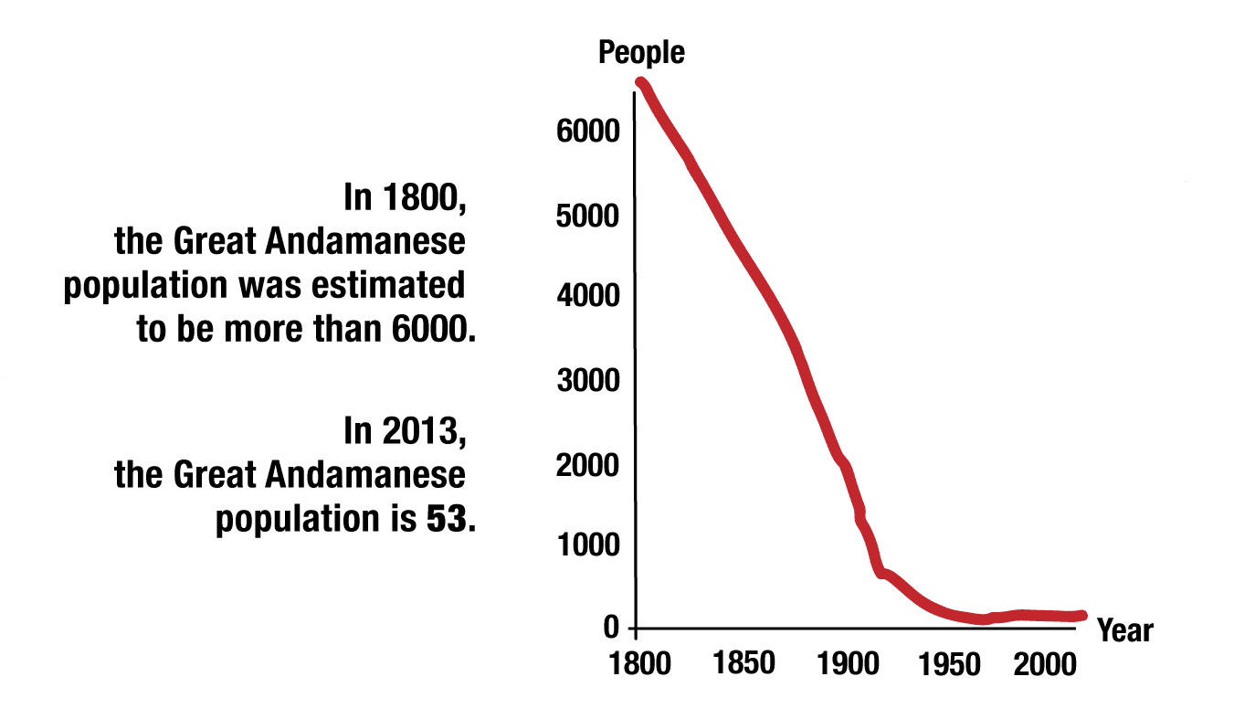 Andamanese graph